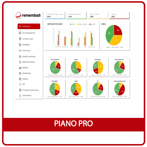 Piano Pro (per professionisti e utenti esperti)