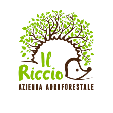IL RICCIO