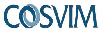 logo-Cosvim-Modificata